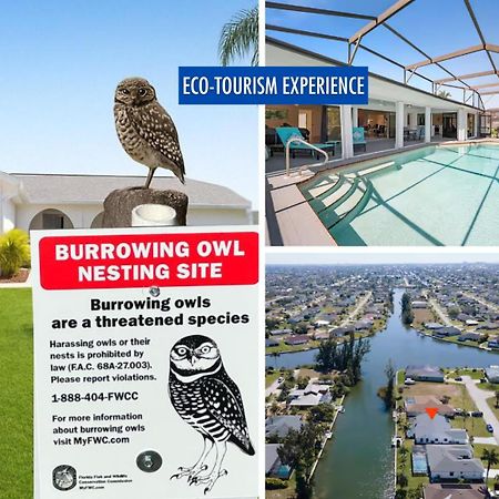 Luxury Waterfront Haven In Cape Coral - Dog-Friendly Escape With Private Poolヴィラ エクステリア 写真